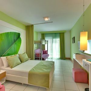 Uitgebreide Kamer met een King Size Bed